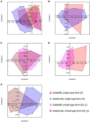 Illumina Next Generation Sequencing for the Analysis of Eimeria Populations in Commercial Broilers and Indigenous Chickens